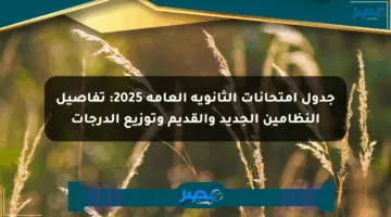 جدول امتحانات الثانوية العامة 2025: تفاصيل النظامين الجديد والقديم وتوزيع الدرجات